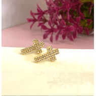 Cruces brillantes