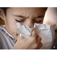Perfil Alergia (Inhalantes)